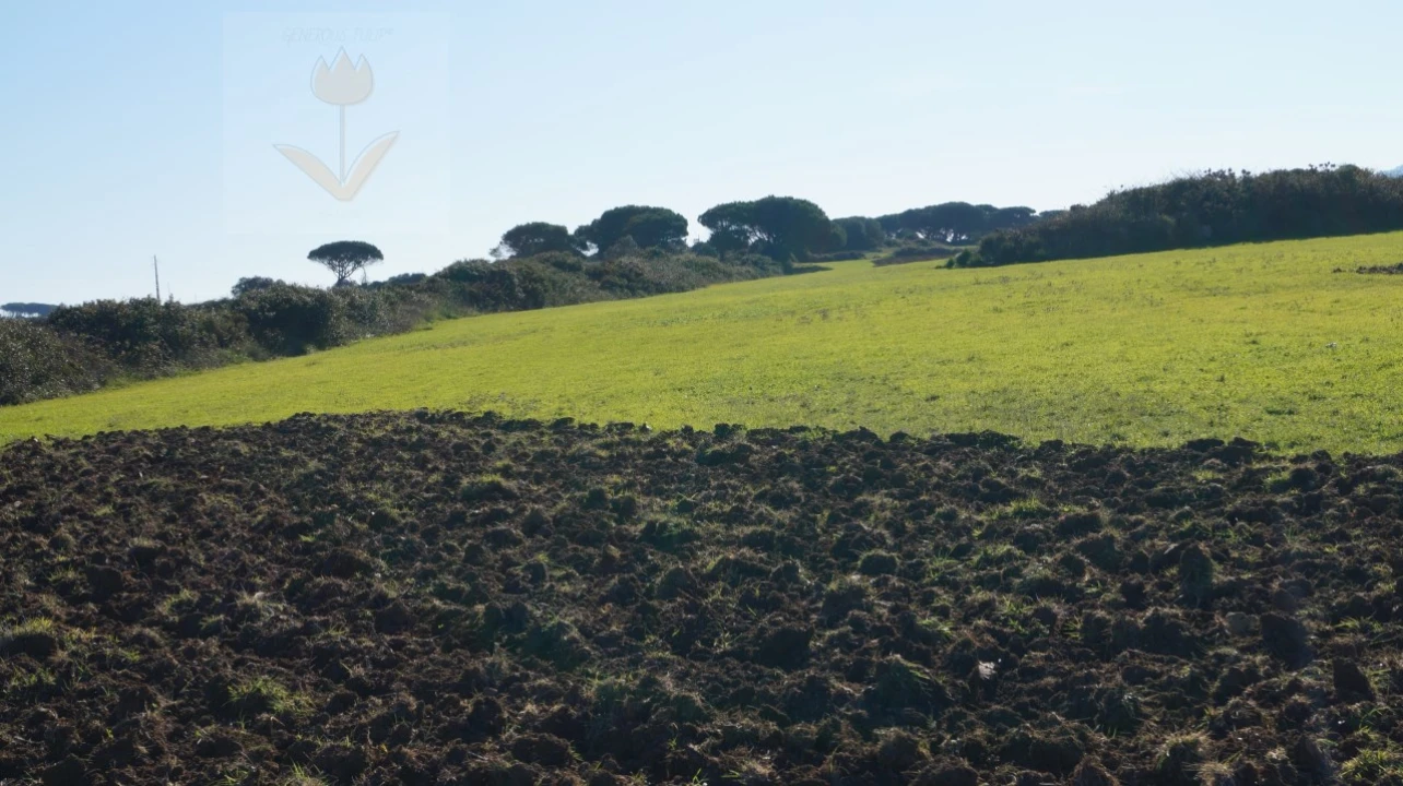 Terreno para Venda em São João das Lampas e Terrugem Foto 2