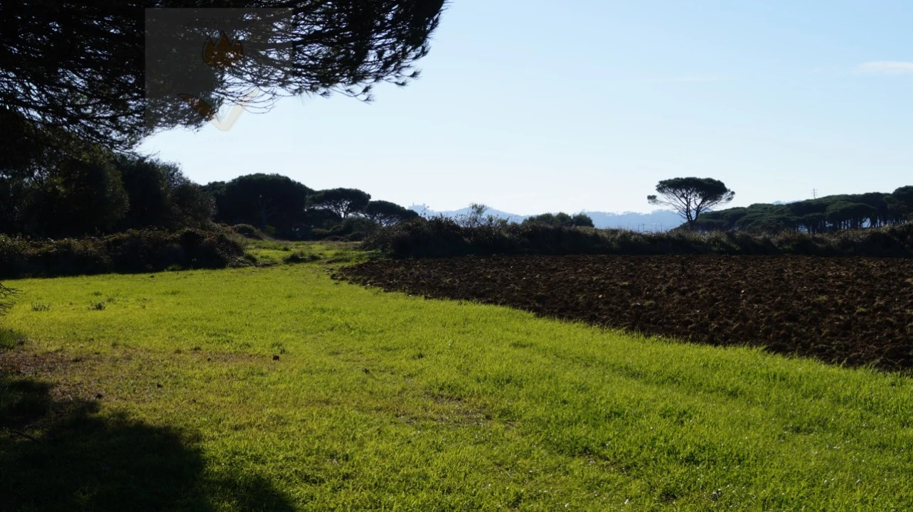 Terreno para Venda em São João das Lampas e Terrugem Foto 3