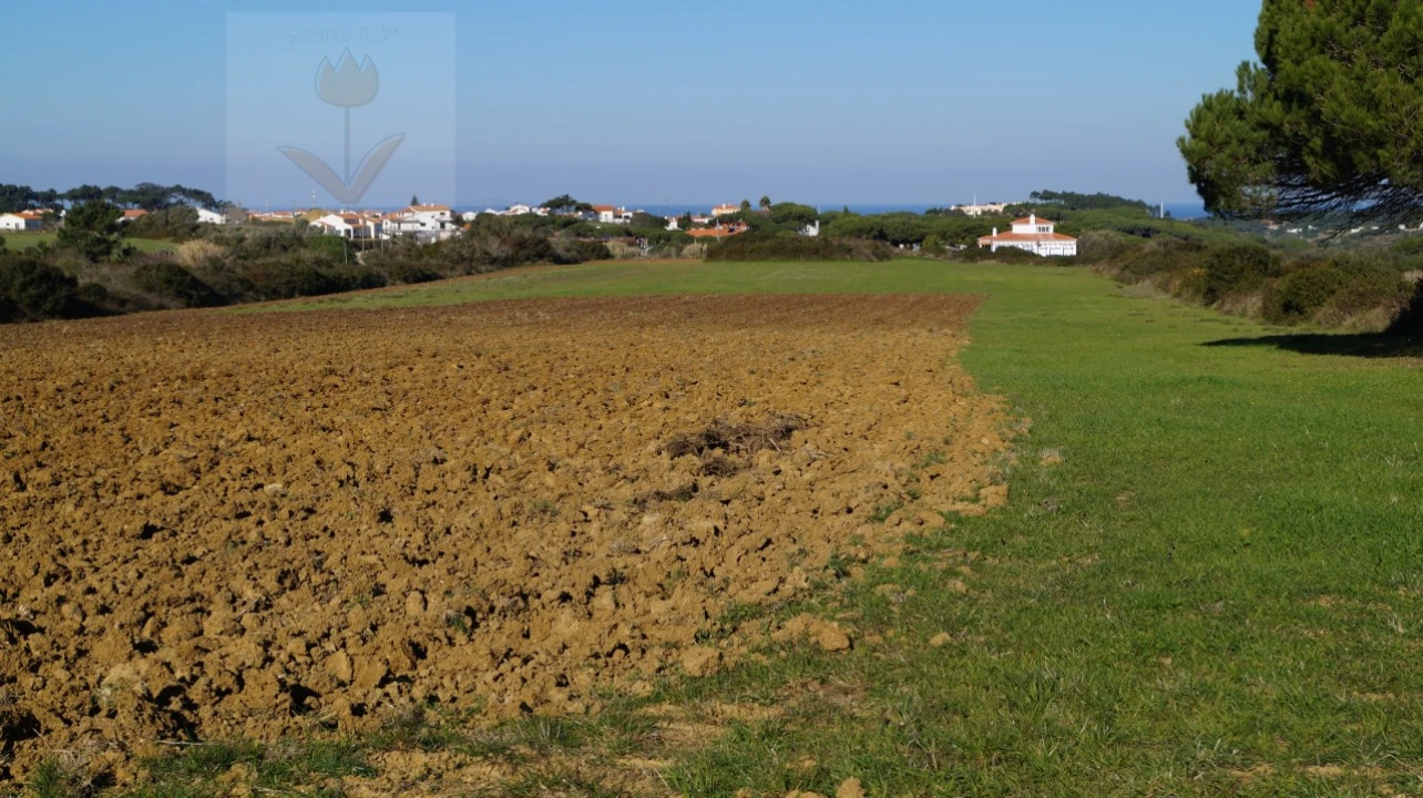 Terreno para Venda em São João das Lampas e Terrugem Foto 4