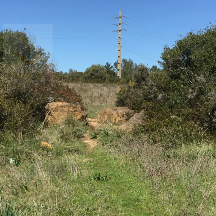 Terreno para Venda em Santa Maria e São Miguel, São Martinho, São Pedro Penaferrim Foto 17