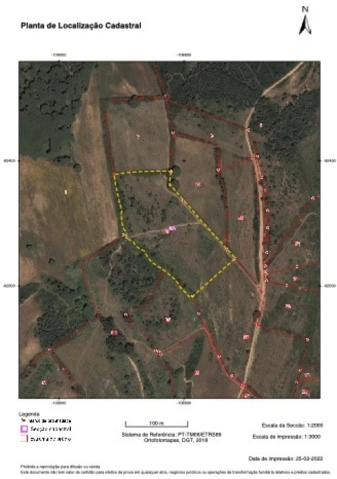 Terreno para Venda em Santa Maria e São Miguel, São Martinho, São Pedro Penaferrim
