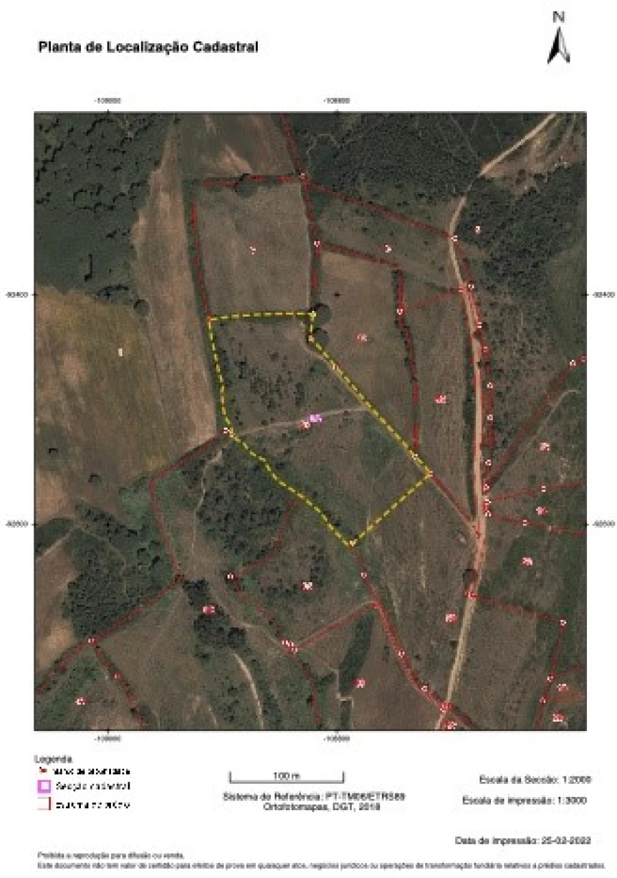 Terreno para Venda em Santa Maria e São Miguel, São Martinho, São Pedro Penaferrim Planta 2