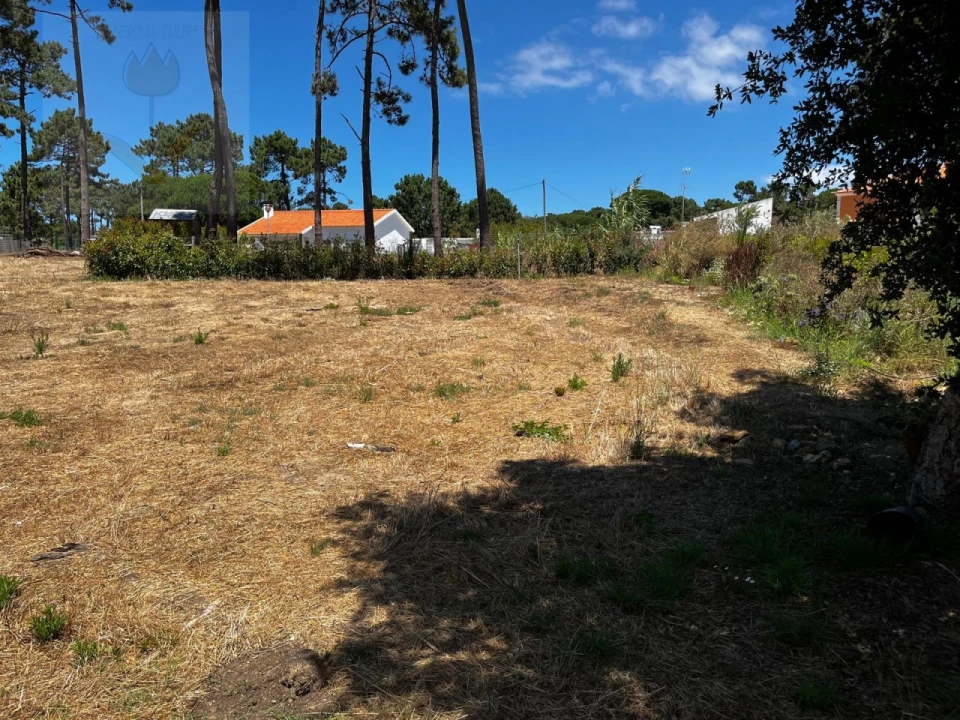 Terreno para Venda em Colares Foto 6