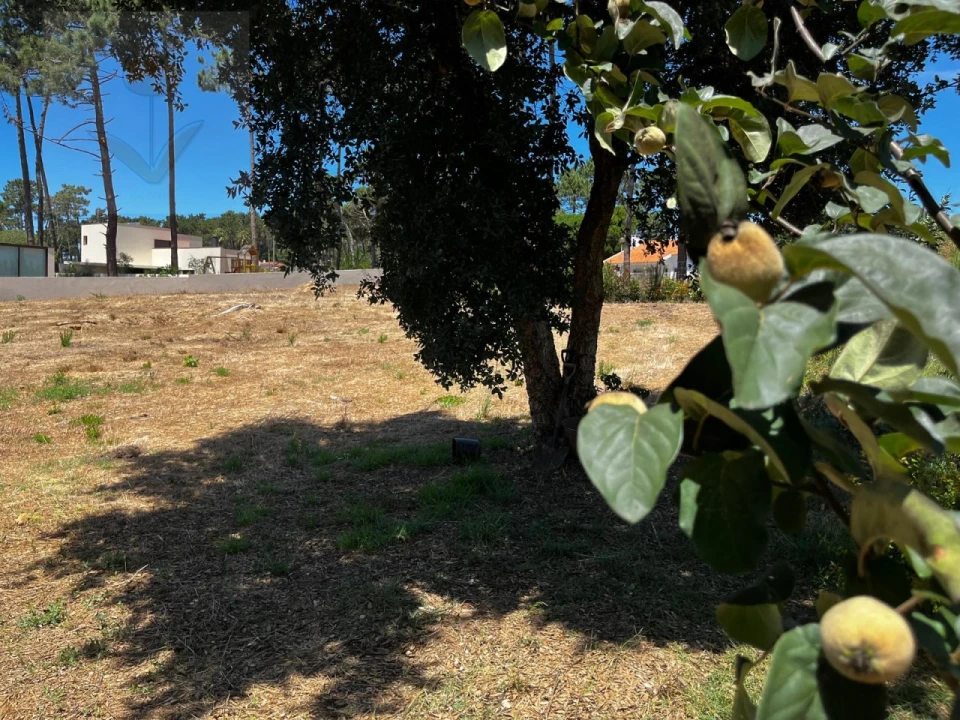 Terreno para Venda em Colares Foto 10