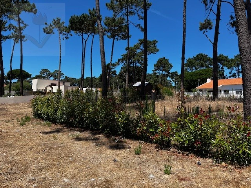 Terreno para Venda em Colares Foto 8