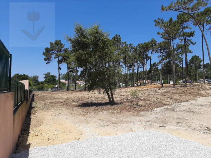 Terreno para Venda em Colares Foto 2