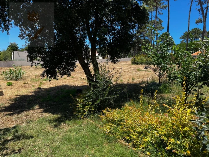 Terreno para Venda em Colares Foto 11