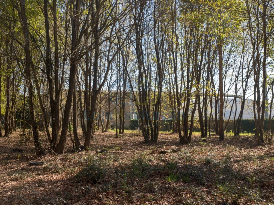 Terreno para Venda em Merelim (São Paio), Panoias e Parada de Tibães Foto 36