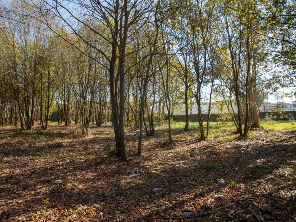 Terreno para Venda em Merelim (São Paio), Panoias e Parada de Tibães Foto 40