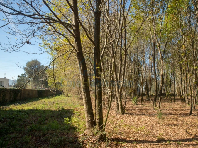 Terreno para Venda em Merelim (São Paio), Panoias e Parada de Tibães Foto 29