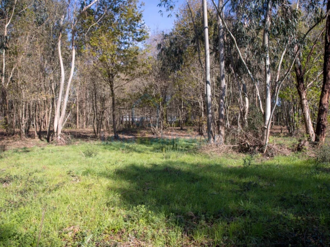 Terreno para Venda em Merelim (São Paio), Panoias e Parada de Tibães Foto 30