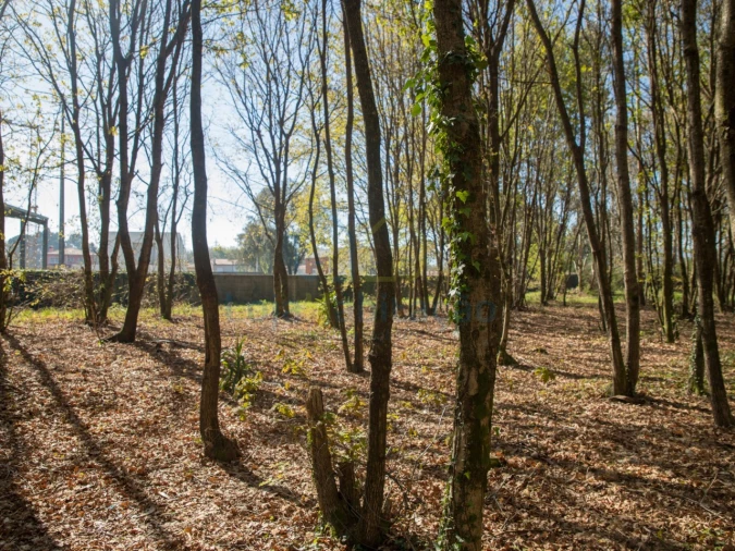 Terreno para Venda em Merelim (São Paio), Panoias e Parada de Tibães Foto 41