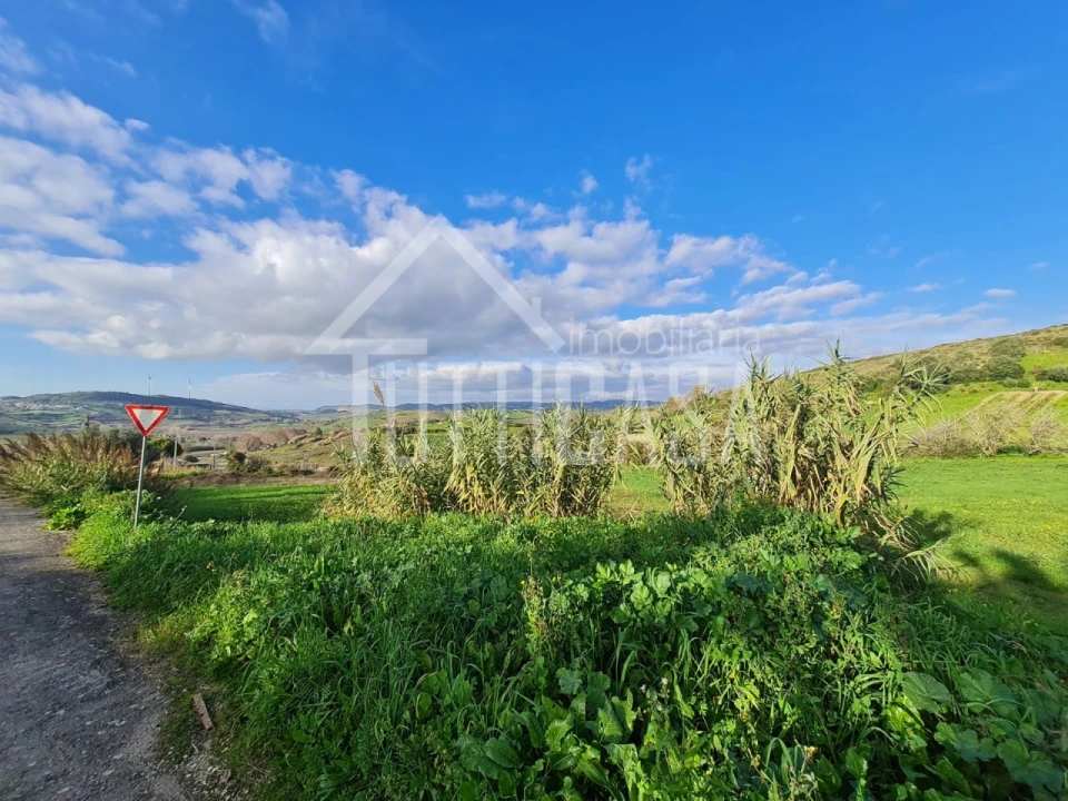 Terreno para Venda em Sobral de Monte Agraço Foto 3
