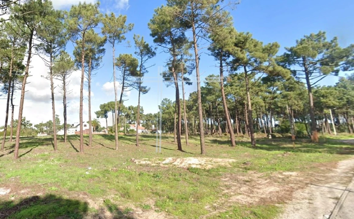 Terreno para Venda em Charneca de Caparica e Sobreda Foto 8