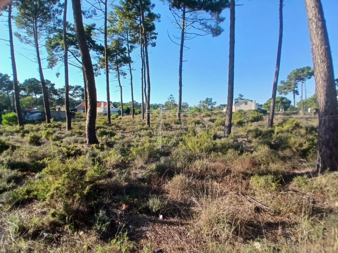 Terreno para Venda em Charneca de Caparica e Sobreda Foto 1