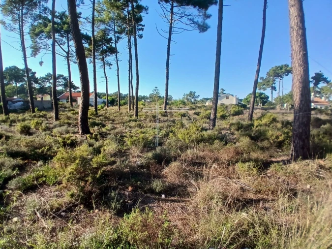 Terreno para Venda em Charneca de Caparica e Sobreda Foto 3
