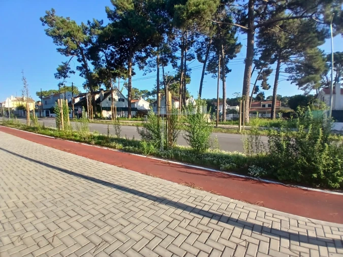 Terreno para Venda em Charneca de Caparica e Sobreda Foto 4