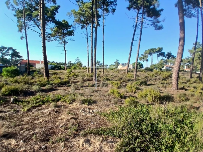 Terreno para Venda em Charneca de Caparica e Sobreda Foto 5