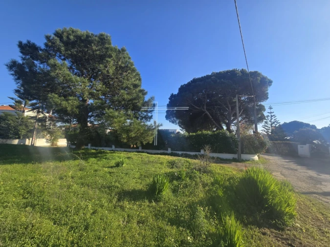 Terreno para Venda em Caparica e Trafaria Foto 6