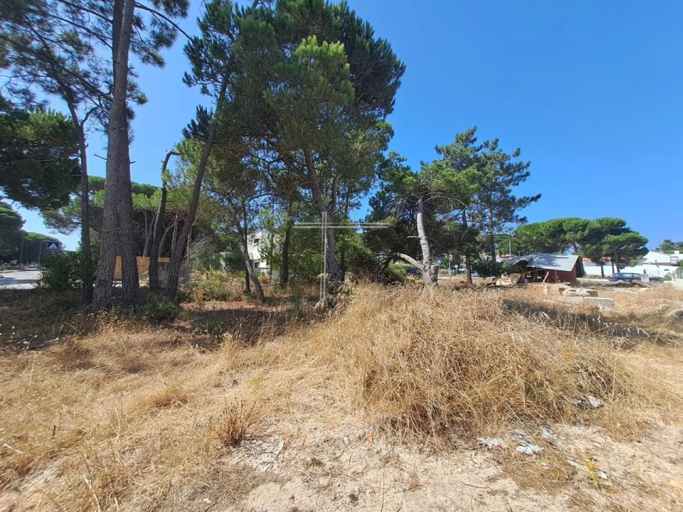 Terreno para Venda em Sesimbra (Castelo) Foto 8