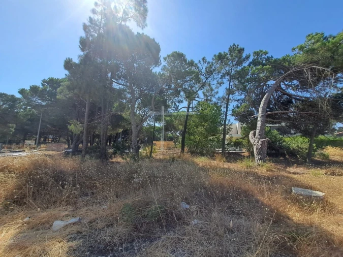 Terreno para Venda em Sesimbra (Castelo) Foto 7