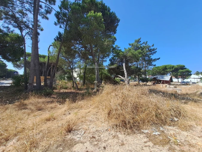 Terreno para Venda em Sesimbra (Castelo) Foto 8