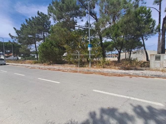 Terreno para Venda em Sesimbra (Castelo) Foto 14