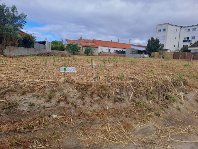 Terreno para Venda em Charneca de Caparica e Sobreda Foto 13