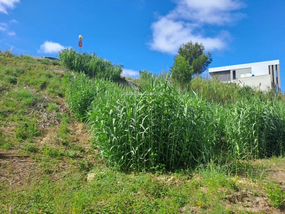 Terreno para Venda em Caparica e Trafaria Foto 13