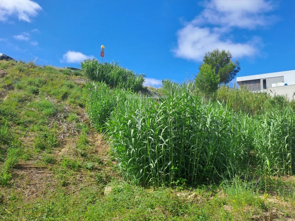 Terreno para Venda em Caparica e Trafaria Foto 14