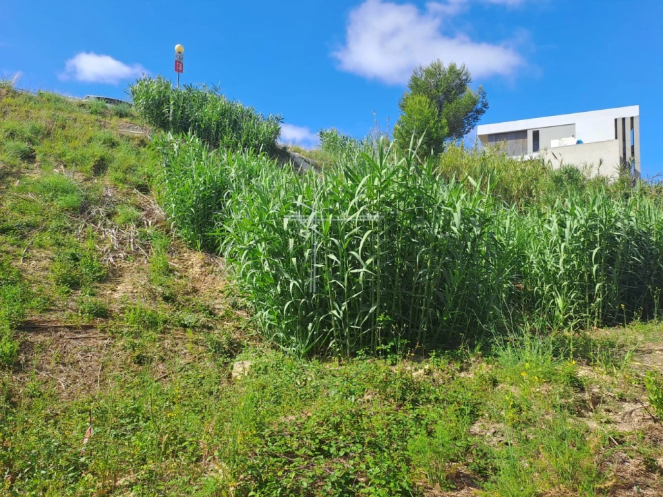 Terreno para Venda em Caparica e Trafaria Foto 15