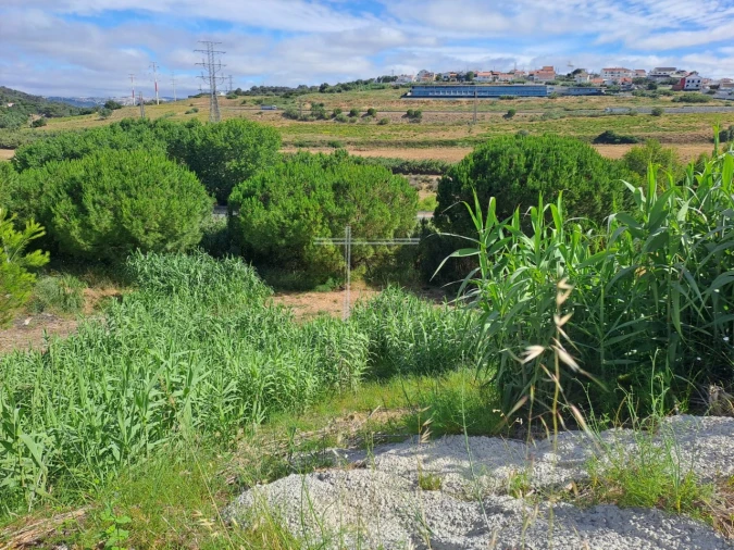 Terreno para Venda em Caparica e Trafaria Foto 12