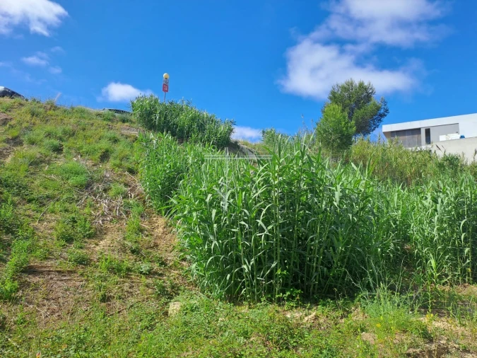 Terreno para Venda em Caparica e Trafaria Foto 14