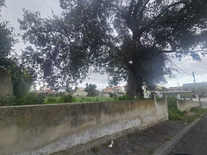 Terreno para Venda em Corroios Foto 4