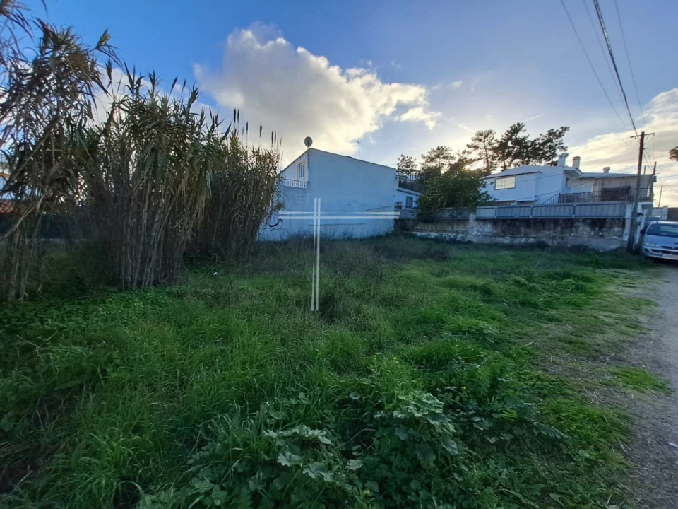 Terreno para Venda em Azeitão (São Lourenço e São Simão) Foto 3