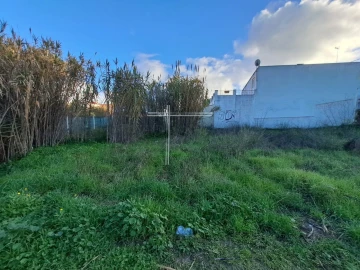Terreno para Venda em Azeitão (São Lourenço e São Simão)