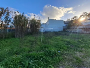 Terreno para Venda em Azeitão (São Lourenço e São Simão)