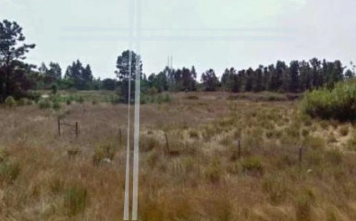 Terreno para Venda em Pegões Foto 2