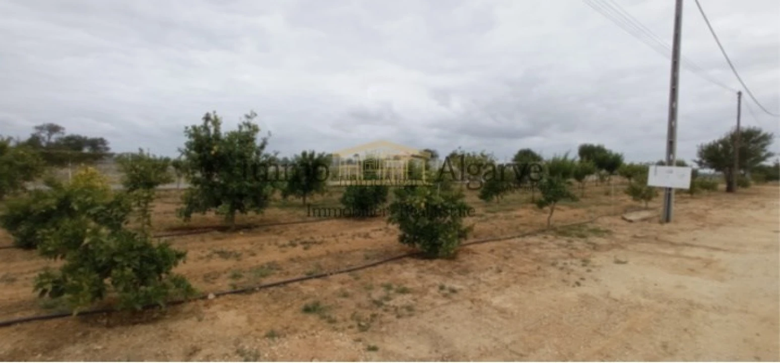 Terreno para Venda em Guia Foto 2