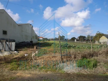 Terreno para Venda em Eixo e Eirol