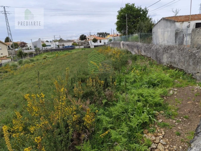 Terreno para Venda em Cortegaça Foto 5