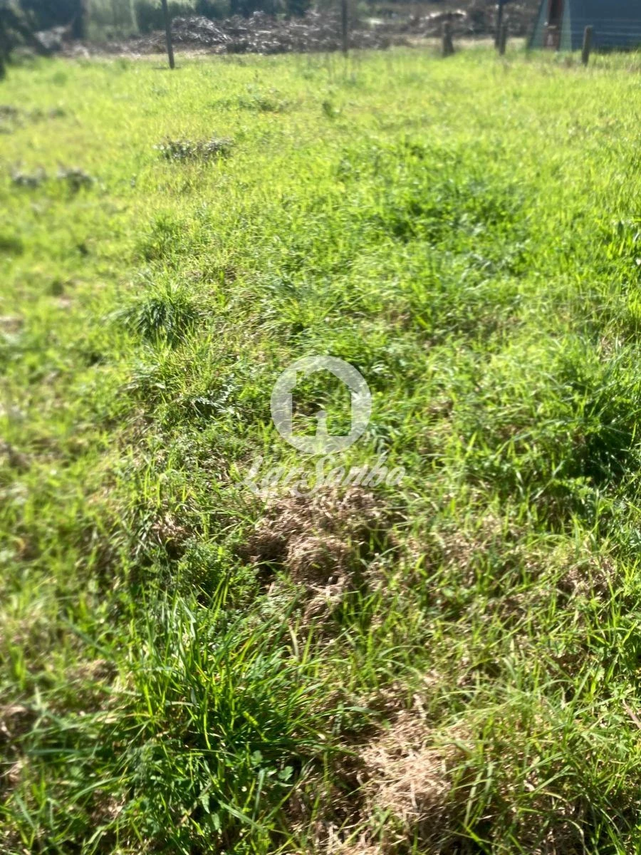 Terreno para Venda em Valença, Cristelo Covo e Arão Foto 2