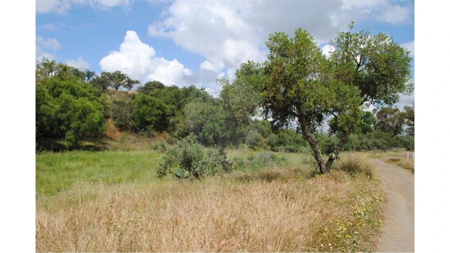 Terreno para Venda em São Luis