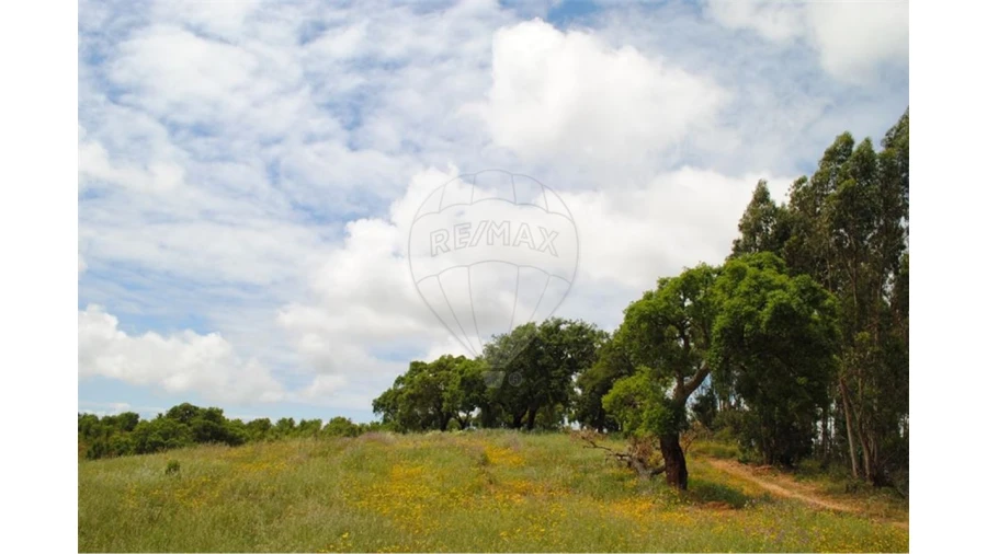 Terreno para Venda em São Luis Foto 11