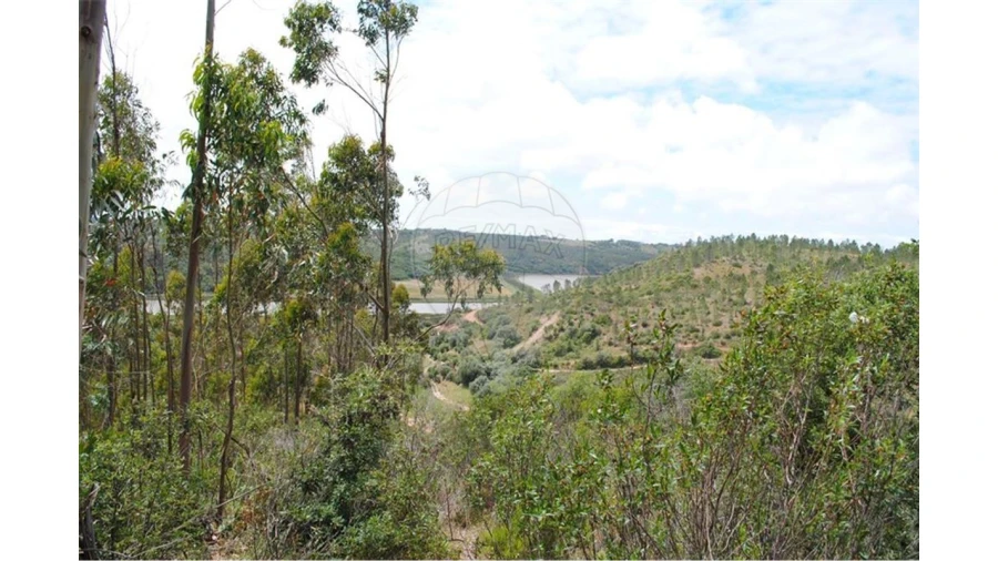 Terreno para Venda em São Luis Foto 2