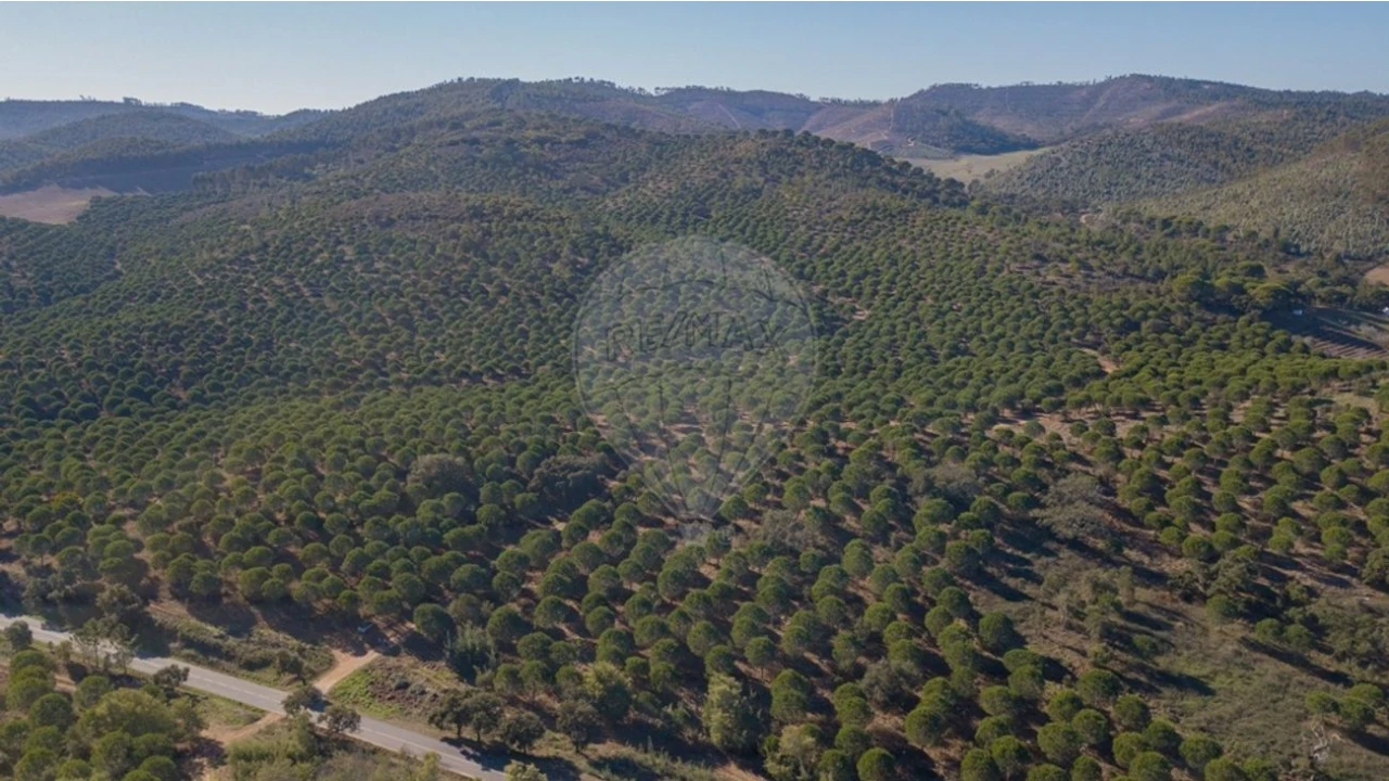 Quinta T0 para Venda em São Luis Foto 10