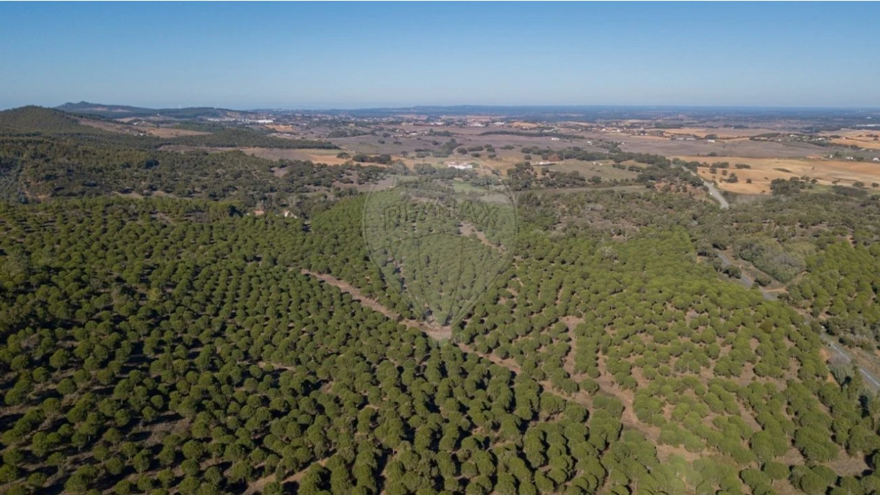 Quinta T0 para Venda em São Luis Foto 11