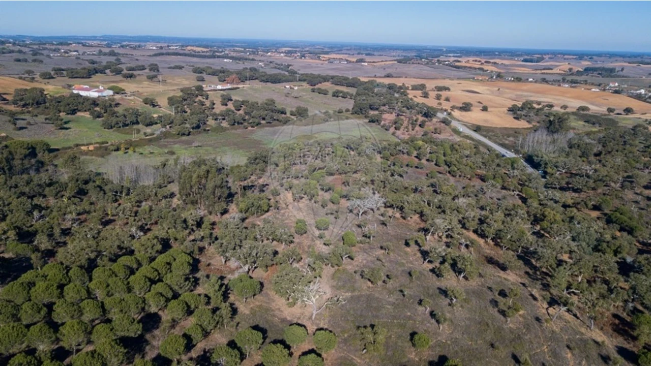 Quinta T0 para Venda em São Luis Foto 5