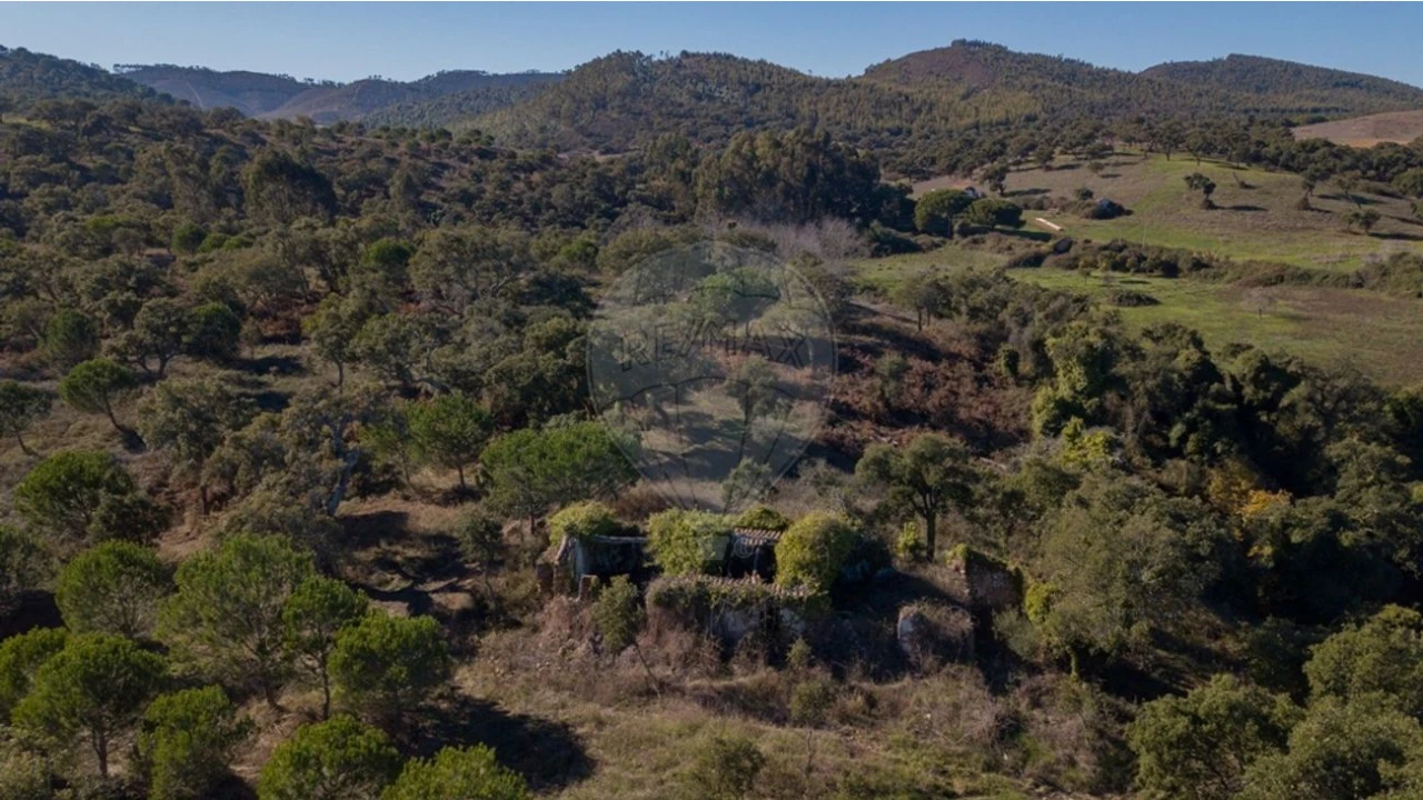 Quinta T0 para Venda em São Luis Foto 3