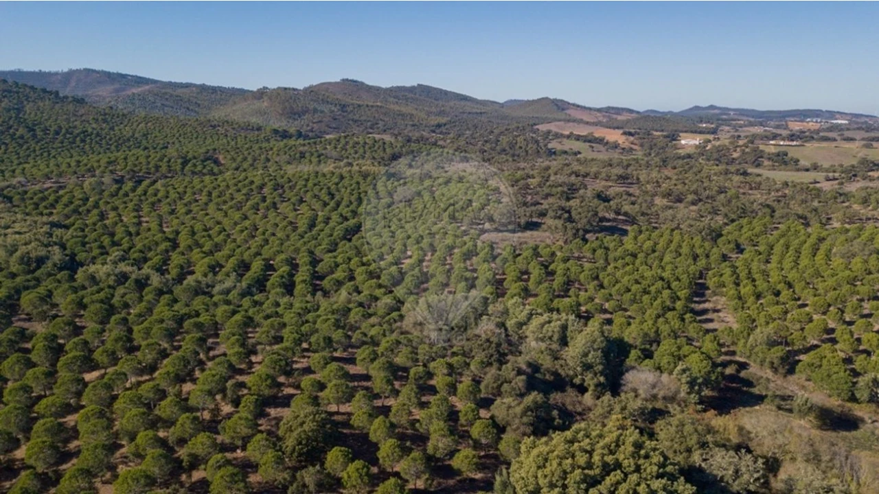 Quinta T0 para Venda em São Luis Foto 12